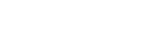 FOX News FOX News